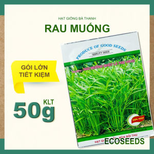 GÓI LỚN [EcoSeeds] Hạt Giống Rau Muống Nhật Lá Tre VN26 - Sinh Trưởng Nhanh Chống Sâu Bệnh - 50g