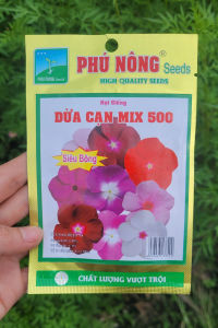[TRUNG THIEN THINH] Combo 2 gói hạt giống Hoa Dừa Cạn Phú Nông Siêu Bông nhiều màu gói 10 hạt