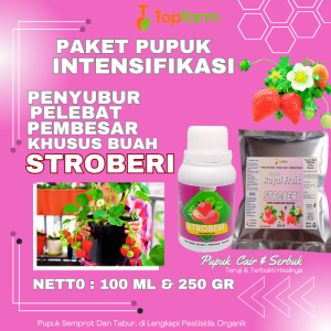 Pupuk Stroberi Berbuah Lebat / Pupuk Stroberi Biar Berbuah / Pupuk Pembesar Buah Stroberi / Pupuk Organik Stroberi Cair / Pupuk Buah