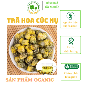 Trà Hoa Cúc Nụ Kim Cương Sấy Lạnh Hàng Loại 1 Màu Vàng Xanh Đều Đẹp