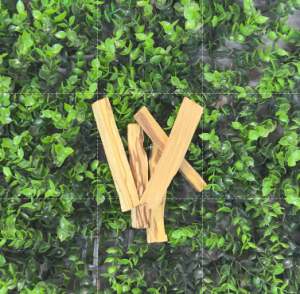 Palo Santo Sticks - Asteria Apothecary