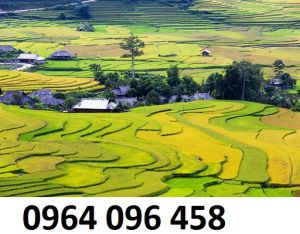 Tranh ruộng bậc thang - tranh gạch 3d ruộng bậc thang - DCBB95