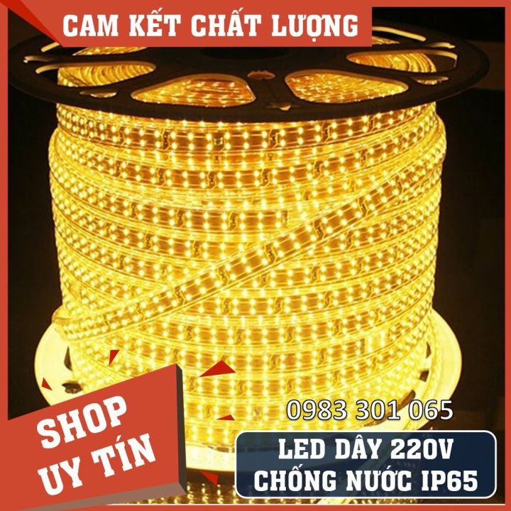 Đèn LED dây 2/3 hàng Giá 1 mét Trắng/ Vàng/ Đổi Màu trang trí quấn cây ...