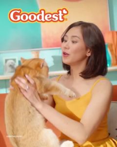 GOODEST  Cat Dry Food in Tasty Tuna 1.2kg.