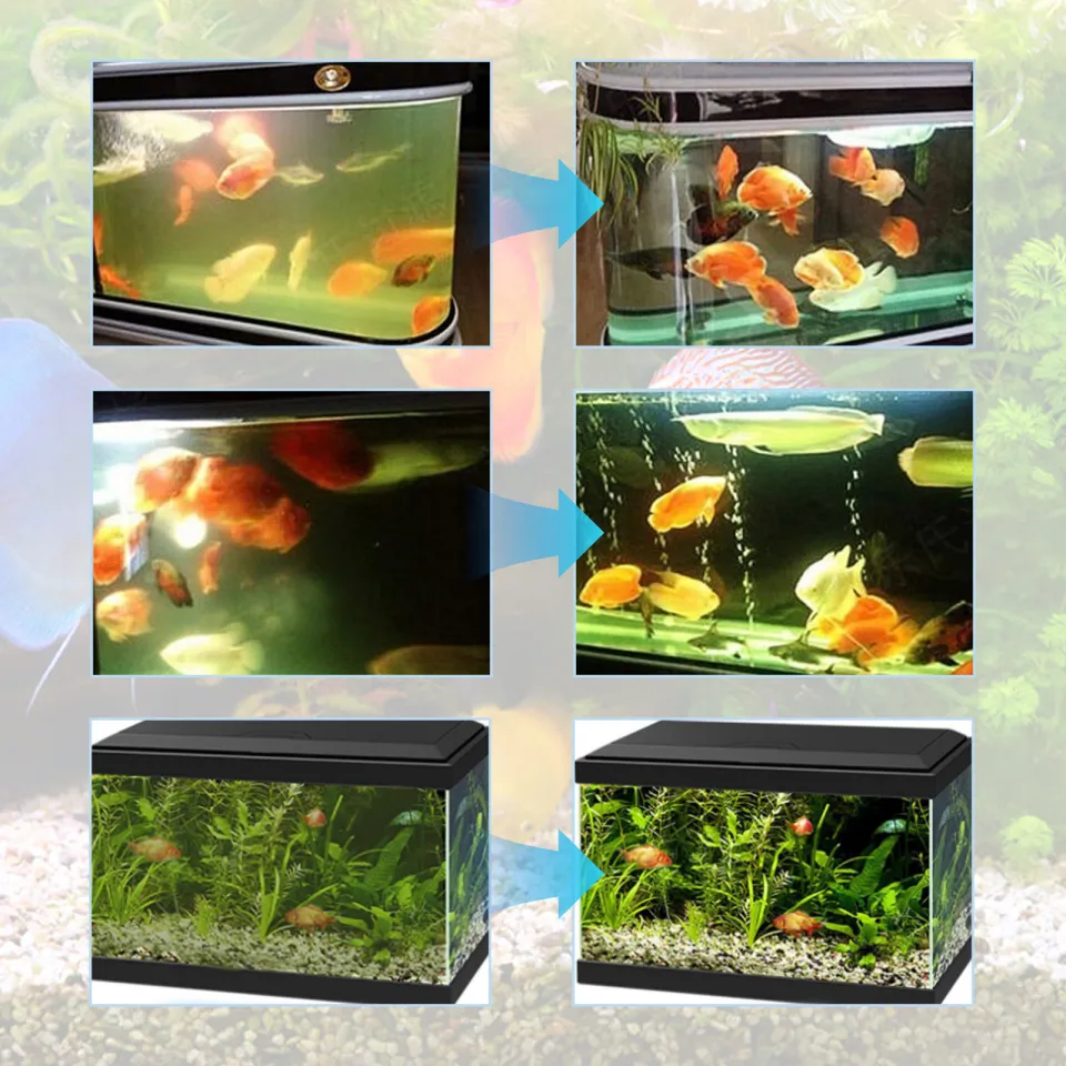 YEGBONG Dropship Aquarium Water Algae Fish Tanks Cleaning Powder Tanks Aquarium Odor Remove Fish Tank Moss Remover Aquarium Algae Removal Powder Tablets Aquarium Cleaning Accessories For Fish Tank Aqu...