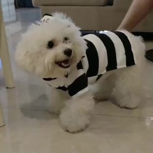 Striped Winter WarmClothes for Small Dogs & Cats Festive Thickened Outdoor Coat