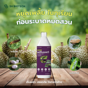 [เซตพิเศษถูกกว่า] พลีโม เอสวี ขนาด 500 มล. สารสกัดออร์แกนิค เห็นผลไวตั้งแต่ใช้ครั้งแรก กำจัดเพลี้ยไฟ เพลี้ยอ่อน เพลี้ยแป้ง มด แมลงหวี่ขาว