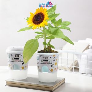 Đồ chơi chậu hạt giống cây trồng tự nảy mầm bé tự làm đất trồng cây các loại hướng dương dâu tây cà chua