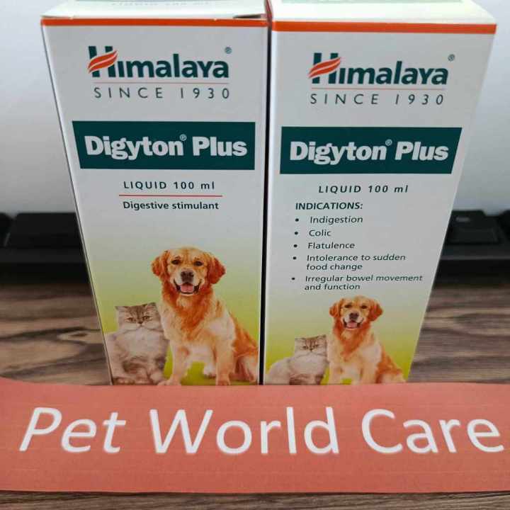 DIGYTON PLUS Liquid for Pets 100ml | Lazada PH