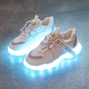 Giày Trẻ Em Giày Trượt Băng Cho Bé Trai Giày Trượt Patin Giày Bay Nổi Tiếng Trên Mạng Giày Hai Bánh Giày Học Sinh Có Bánh Xe