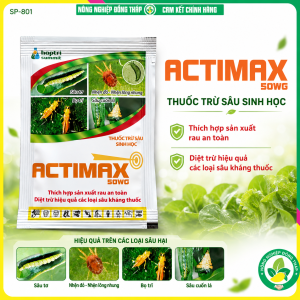 [COMBO 5 GÓI] Thuốc Trừ Sâu Sinh Học ACTIMAX 50WG – Thích Hợp Sản Xuất Rau An Toàn Diệt Trừ Hiệu Quả Các Loại Sâu Kháng Thuốc (Gói 10g)