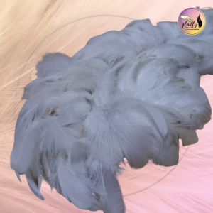 DIY Arts & Crafts Feathers | Bilog | 5-10cm | Natural White Color