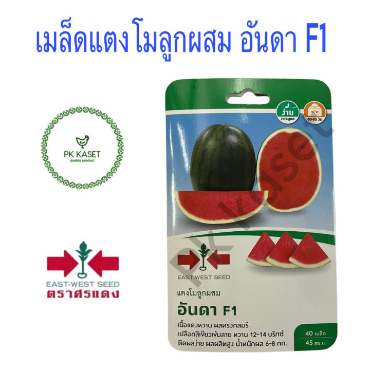 เมล็ดแตงโม อันดา F1 ศรแดง สำหรับผลไม้หน้าร้อน
