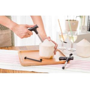Pembolong Batok Kelapa Coconut Opener