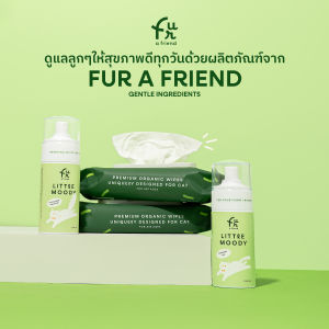 Fur a friend Set x2 สเปรย์บำรุงขนและผ่อนคลายสำหรับแมว 2 ขวด + ผ้าเปียก Cats Good Wipes 2 ห่อ ทิชชู่เปียกอาบน้ำแมว สูตร Anti-Bacteria ออร์แกนิค ไม่มีแอลกอฮอล์ ไม่มีพาราเบน ย่อยสลายได้ ลดกลิ่นสาป อ่อนโยนแม้ผิวบอบบาง พร้อมส่ง ขนาด 50 แผ่น