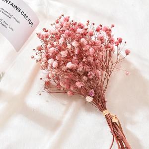 NCNC(okdeals01) 1pc Home Decor DIY Pressed Mini Decorative Small Dry Flower Dried Flowers Gypsophila Babysbreath Bouquet