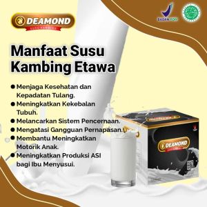 Susu kambing etawa  Susu Deamond membantu asupan nutrisi tulang anak agar anak aktif bertenaga kesehatan paru parumencegah asmaradang paru paru