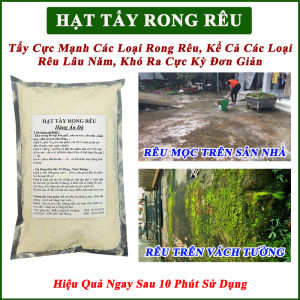 1kg Bột Tẩy Rong Rêu Sàn Xi Măng Vách Tường Sân Nhà. Khử Trùng Nhà Cửa Nhà Vệ Sinh Cống Rãnh.