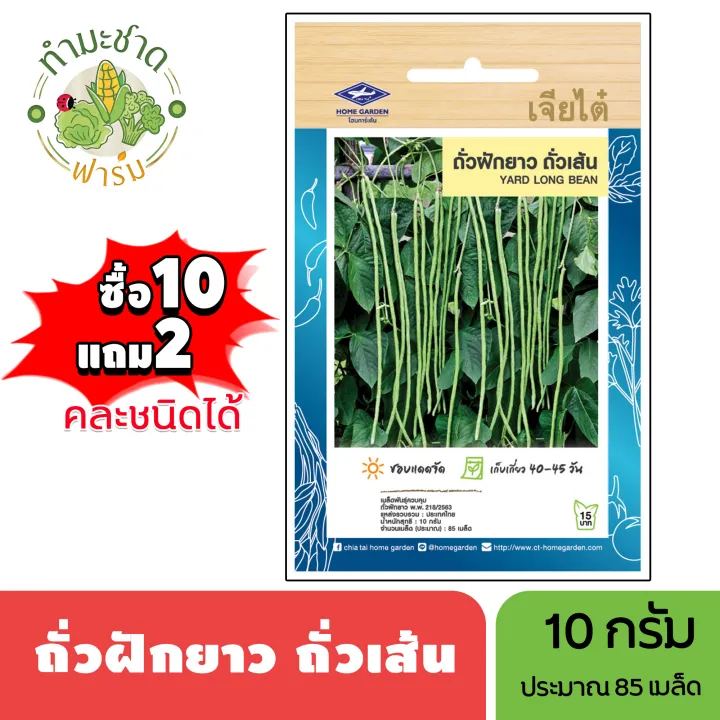 เจียไต๋ เมล็ดพันธุ์ถั่วฝักยาวถั่วเส้น แพ็คสุดคุ้ม ซื้อ10แถม2