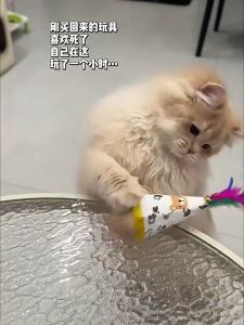 Natural Beech Wood Wobble Cat Tumbler Toy Wear Resistant Interactive Toy with Feather Funny Toy