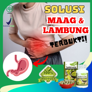 Obat Maag Kronis / Gastritis / Radang Iritasi Infeksi Lambung Gerd Kanker - Polip Lambung Keloreena
