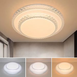 Tricolor Modern Chandelier LED Aisle Ceiling Lights Home Lighting Led Surface Mounted for Bedroom Living Room Corridor Light Balcony Lights