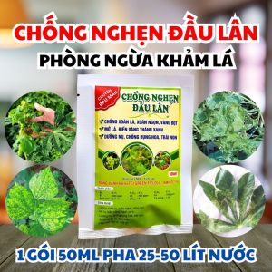 Chống Nghẽn Đầu Lân – Trị Xoăn Lá Vàng Đọt Nghẽn Ngọn Cho Rau Màu