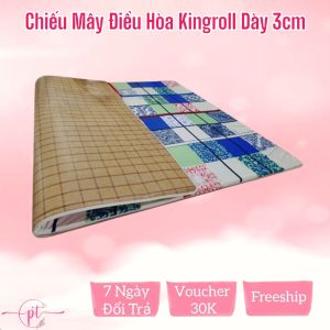 Chiếu Điều Hòa Sợi Mây Tổng Hợp Có Lớp Mút Foam Dày 3cm Đủ Size Thoáng Mát Và Êm Ái - Giao Hỏa Tốc 2H HCM