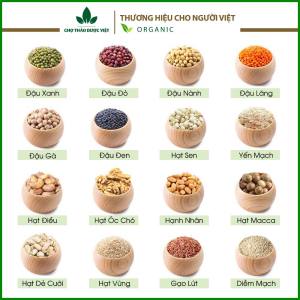 Tổng hợp 20 hạt nấu sữa tự chọn nguyên liệu làm sữa hạt thơm ngon bổ dưỡng hạt ăn dặm nấu cháo