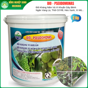 BIO PSEUDOMONAS Đối Kháng Nấm Và Vi Khuẩn Trừ Bệnh Vàng Lá Thối Rế Héo Xanh Bột Tan 2 KG