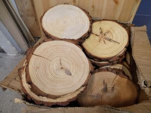 (Defect) 25-30cm Round Natural Pinewood Wood Slice. Pinewood. Wood Piece. Wood Slab. Live Edge.