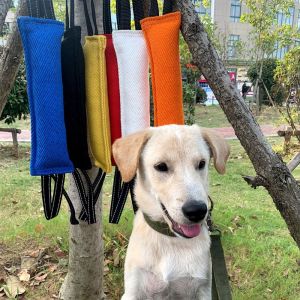 CANICECA 30cm Tooth Cleaning Dog Tug Toy Interactive Jute Bite Pillow Chew Stick Portable Cute Pet Companion Toy