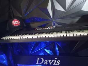 Davis D201 54 Keys Piano Keyboard
