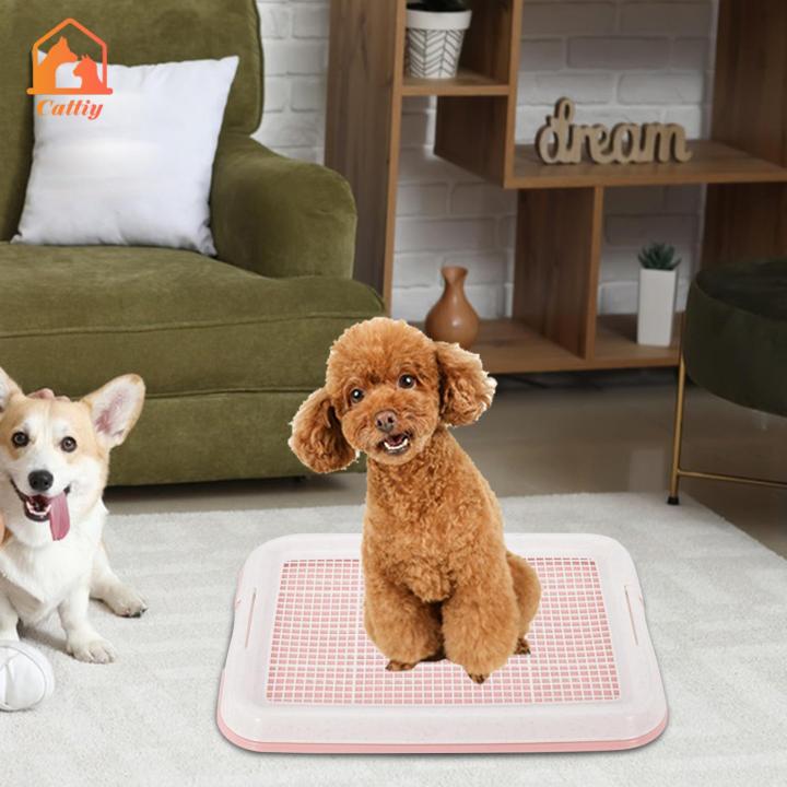 Cattiy Dog Potty Toilet Training Tray Easy to Clean Removable Mesh