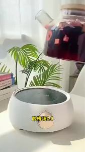 100g(20pack)乌梅山楂茯苓茶 养生茶 减脂养颜排毒湿气 解油解腻 乌梅茶 Black Plum Hawthorn Tuckahoe tea Fruit Tea Health Tea