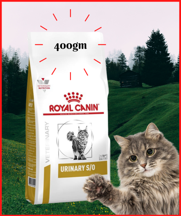 ROYAL CANIN Veterinary Diet Urinary S/O LP34 voor kat