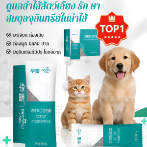 เท็ดดี้ สุนัข ควบคุมลําไส้และกระเพาะ ลาติง อาเจียน ท้อง แมว สุนัขสัตว์เลี้ยง พิเศษ โปรไบโอติก
