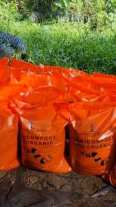 Vermicompost worm casting Baja Cacing