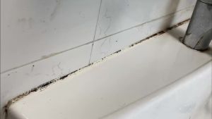 Mould Remover Gel /Mildew Remover /Mold Cleaner /kitchen cleaner / toilet cleaner 去霉菌去霉啫喱  去霉剂  除霉剂。。。