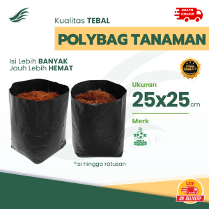 MP - 1 KG Polybag 25x25 | Polibag 25x25 kiloan 1kg