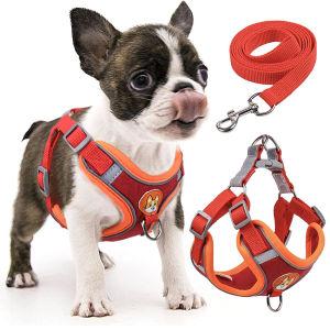 Pet Dog Harness With Leash DOG DESIGN Pet Adjustable Reflective Harness Vest Kitten Puppy Harness Vest for Pet