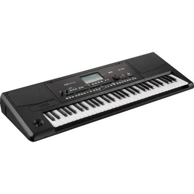 Korg PA300 Professional Arranger Keyboard (61-keys)