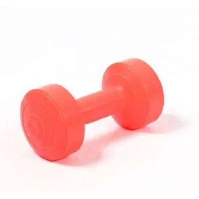 ISI 2PCS - dumble barbel dumbel dumbell 2kg 2 kg win star stamina
