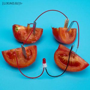 [LIXIAOJU] 1 Set Children Bio Energy Science Kit Potato Fruit Supply Electricity Experiment