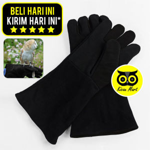 Kicau Mart Sarung Tangan Latih Burung Hantu Burung Elang Warna Hitam Bahan Suade Sepasang Kanan Kiri Safety Glove Fullset Latih Burung Hantu Elang Falconry Parrot Kakatua Macau Parot Gloves Alap Kabit Castrel Reptil Musang Sugar Glider UKM-BSK-000-SRP