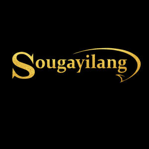 Use relevant keywords: "Sougayilang", "ล่อตกปลา", "รอก", "11+1BB", "7.6:1 ความเร็วสูง", "อุปกรณ์ตกปลา