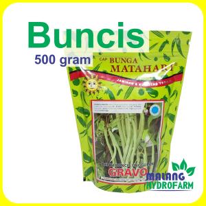 Benih Buncis Gravo 500 gram Cap Bunga Matahari dataran rendah menengah tinggi biibt biji ucet hijau sayur sayuran lebat hydroponik hidroponik