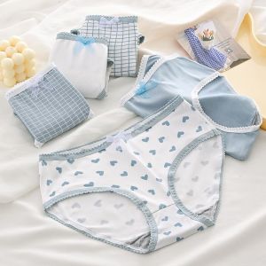 Highclas - Celana Dalam Wanita Karakter lucu Imut Fashion Jepang Motif Lucu Cd Undies CD97