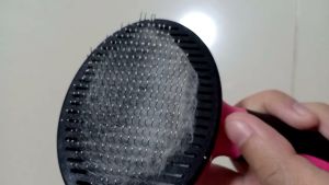 แปรงหวีขนสัตว์เลี้ยง แปรงหวีขนสุนัข แปรงหวีขนแมว