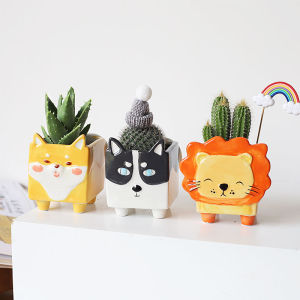 Cute Succulent Planter Succulent Pot with Drainage Hole Flower Plant Pot Cartoon Ceramic Tiny Pot for Indoor Mini Planter Cactus Container